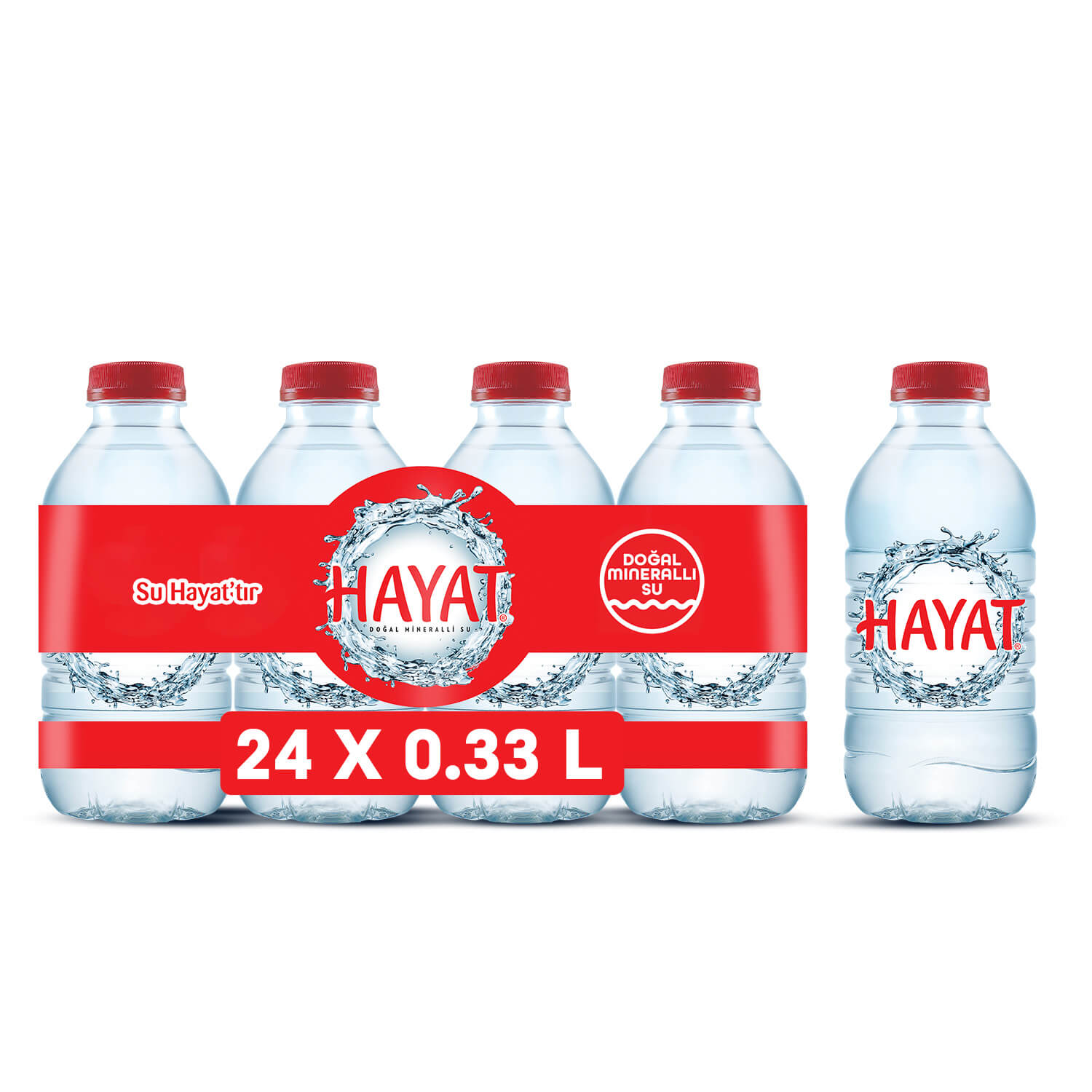 HAYAT 0.33 LT 24 LÜ