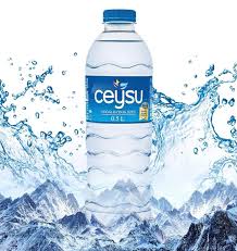 0,50 LT CEYSU